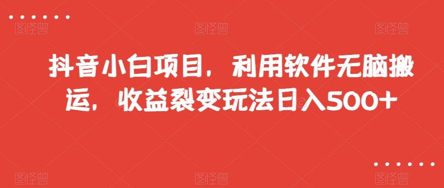 抖音小白项目，利用软件无脑搬运，收益裂变玩法日入500+【揭秘】-创薯资源