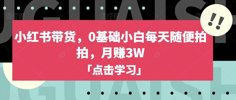 小红书带货，0基础小白每天随便拍拍，月赚3W【揭秘】-创薯资源