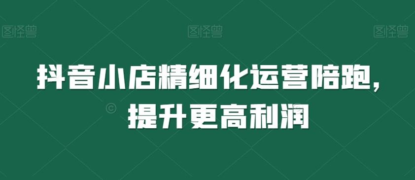 抖音小店精细化运营陪跑，提升更高利润-创薯资源