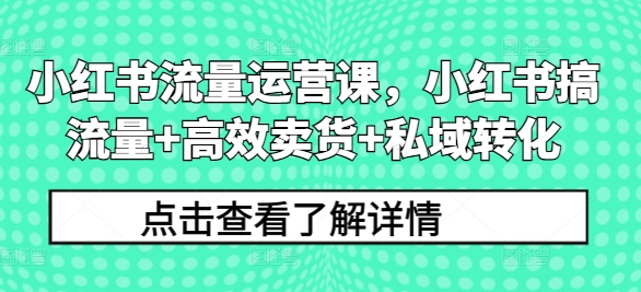 小红书流量运营课，小红书搞流量+高效卖货+私域转化-创薯资源