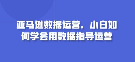 亚马逊数据运营，小白如何学会用数据指导运营-创薯资源