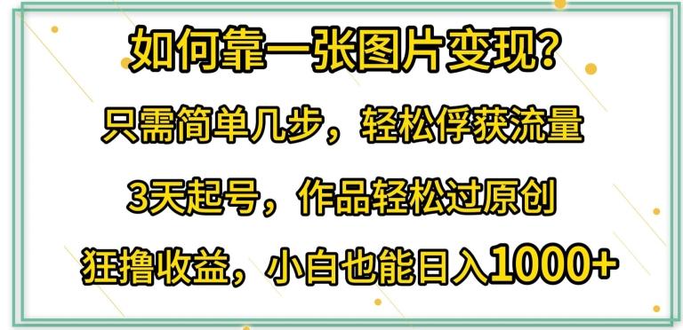 如何靠一张图片变现?只需简单几步，轻松俘获流量，3天起号，作品轻松过原创【揭秘】-创薯资源