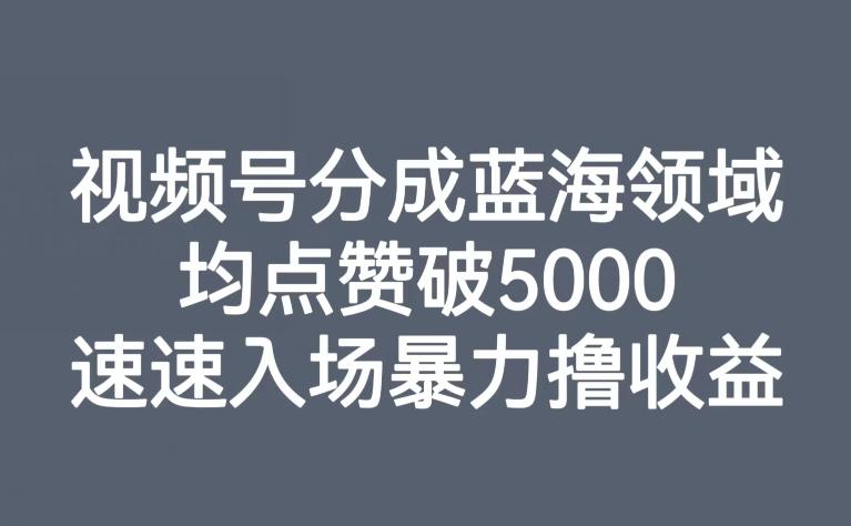 视频号分成蓝海领域，均点赞破5000，速速入场暴力撸收益-创薯资源