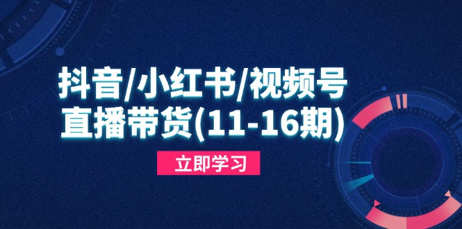抖音/小红书/视频号/直播带货(11-16期-创薯资源