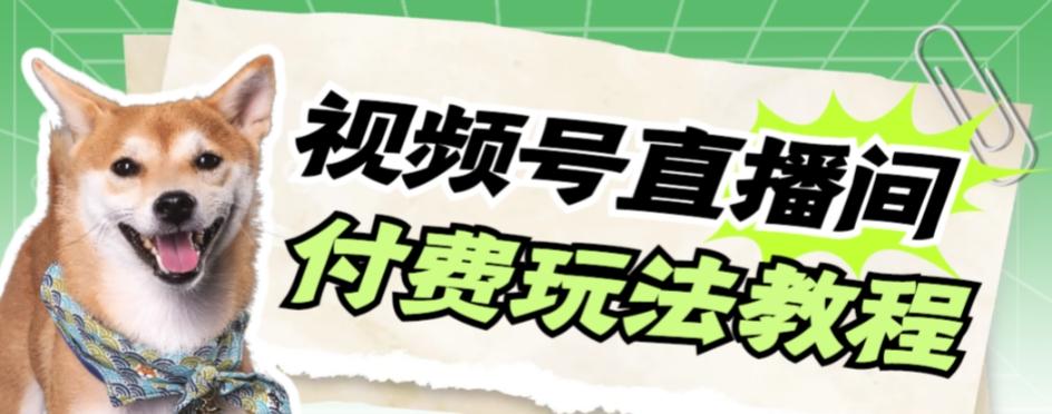 视频号美女付费无人直播，轻松日入500+【详细玩法教程】-创薯资源