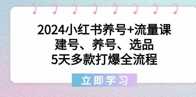 2024小红书养号+流量课：建号、养号、选品，5天多款打爆全流程-创薯资源