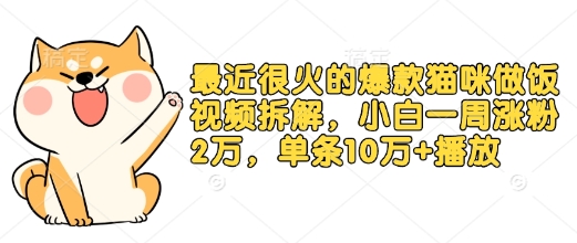 最近很火的爆款猫咪做饭视频拆解，小白一周涨粉2万，单条10万+播放(附保姆级教程)-创薯资源