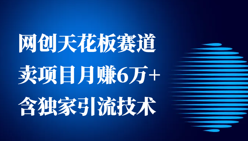 网创天花板赛道，卖项目月赚6万+，含独家引流技术(共26节课)-创薯资源