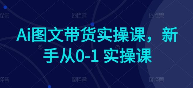 Ai图文带货实操课，新手从0-1 实操课-创薯资源
