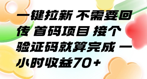 一键拉新 不需要回传 首码项目 接个验证码就算完成 一小时收益70+【揭秘】-创薯资源