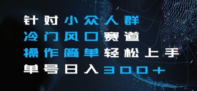 针对小众人群冷门风口赛道，操作简单轻松上手单号日入300+-创薯资源
