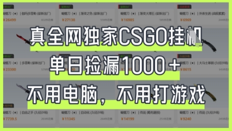 真全网独家CSGO挂G，单日捡漏1k+【揭秘】-创薯资源