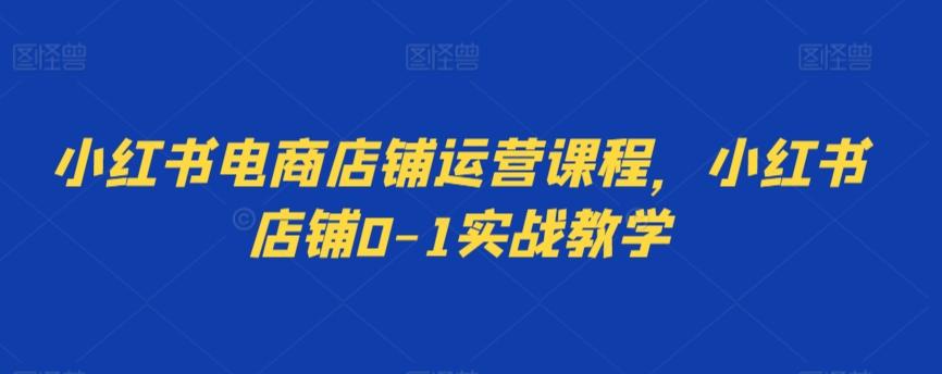 小红书电商店铺运营课程，小红书店铺0-1实战教学-创薯资源