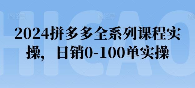 2024拼多多全系列课程实操，日销0-100单实操【必看】-创薯资源