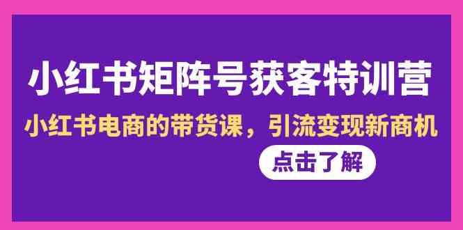 小红书矩阵号获客特训营-第10期，小红书电商的带货课，引流变现新商机-创薯资源