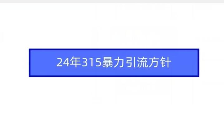 24年315暴力引流方针-创薯资源