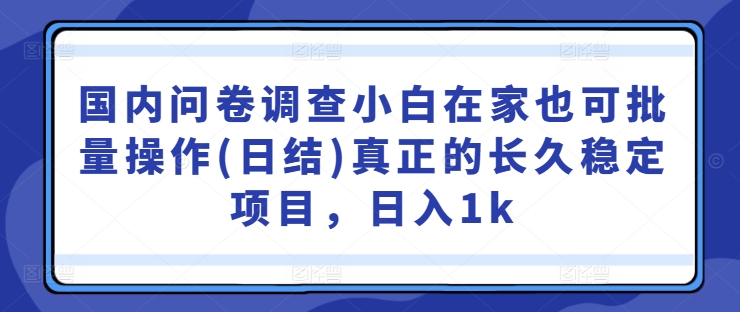 国内问卷调查小白在家也可批量操作(日结)真正的长久稳定项目，日入1k【揭秘】-创薯资源