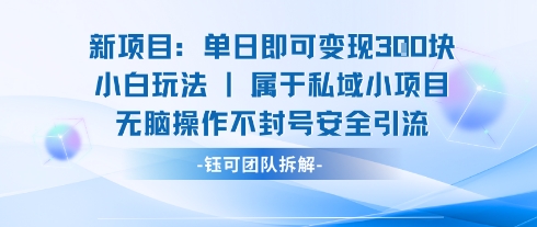 新项目单日即可变现3张的小白玩法无脑操作不封号安全引流-创薯资源