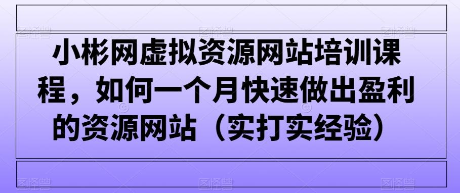 小彬网虚拟资源网站培训课程，如何一个月快速做出盈利的资源网站(实打实经验)-创薯资源