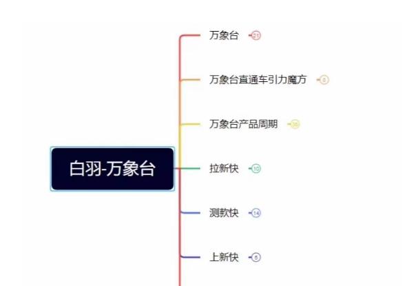 白羽·直引万搜索全篇，从0-1，多个类目实操经验总结付费-创薯资源