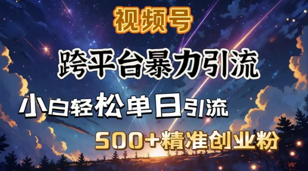 跨平台暴力引流，私域完美闭环，日引500+精准创业粉-创薯资源