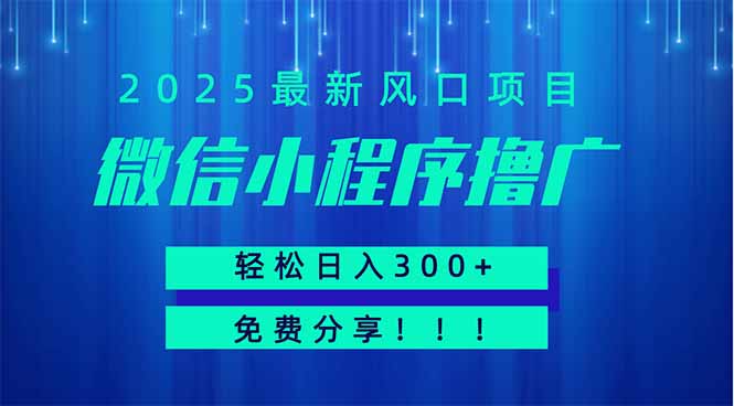 微信小程序撸广，最新风口项目，日入300+ 免费分享 可批量操作 小白可…-创薯资源