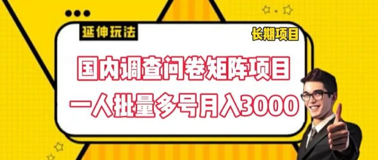 国内调查问卷矩阵项目，一人批量多号月入3000【揭秘】-创薯资源
