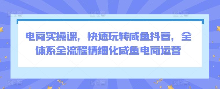 电商实操课，快速玩转咸鱼抖音，全体系全流程精细化咸鱼电商运营-创薯资源