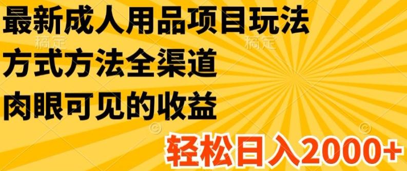 最新成人用品项目玩法，方式方法全渠道，轻松日入2K+【揭秘】-创薯资源