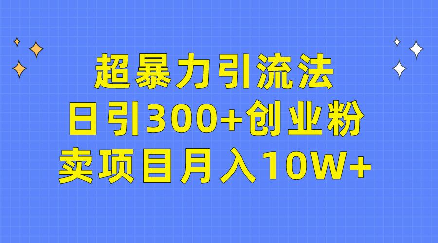 (9954期)超暴力引流法，日引300+创业粉，卖项目月入10W+-创薯资源