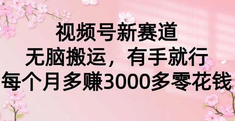 (9278期)视频号新赛道，无脑搬运，有手就行，每个月多赚3000多零花钱-创薯资源
