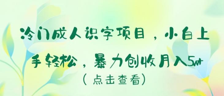 冷门成人识字项目，小白上手轻松，暴力创收月入5w+【揭秘】-创薯资源