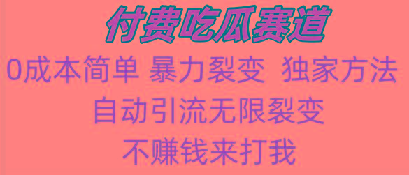 吃瓜付费赛道，暴力无限裂变，0成本，实测日入700+！！！-创薯资源