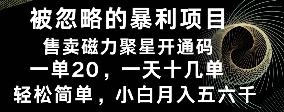 被忽略的暴利项目！售卖磁力聚星开通码，一单20，一天十几单，轻松月入五六千-创薯资源