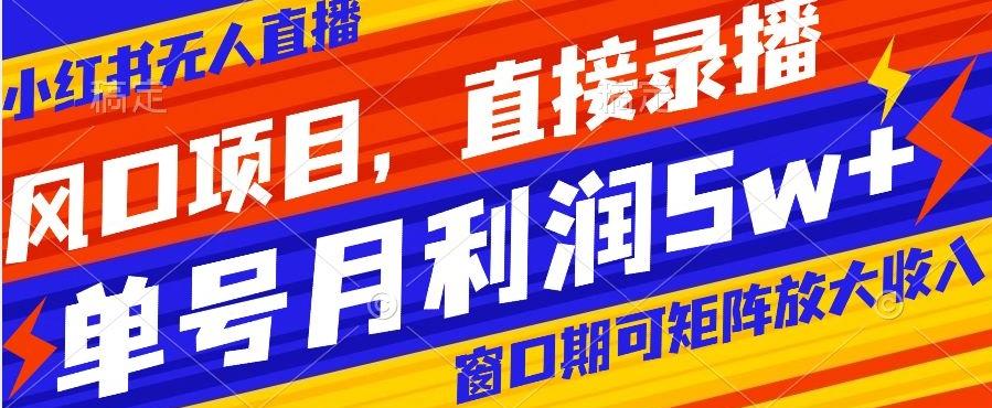 风口项目，小红书无人直播带货，直接录播，可矩阵，月入5w+【揭秘】-创薯资源