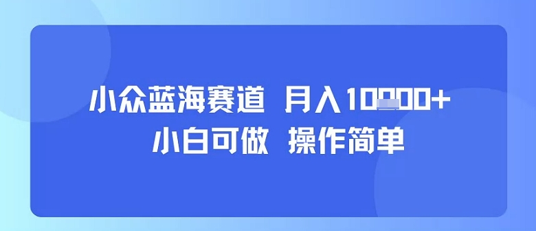 小众蓝海赛道，小白可做，操作简单，每天30分钟，月入1W+-创薯资源