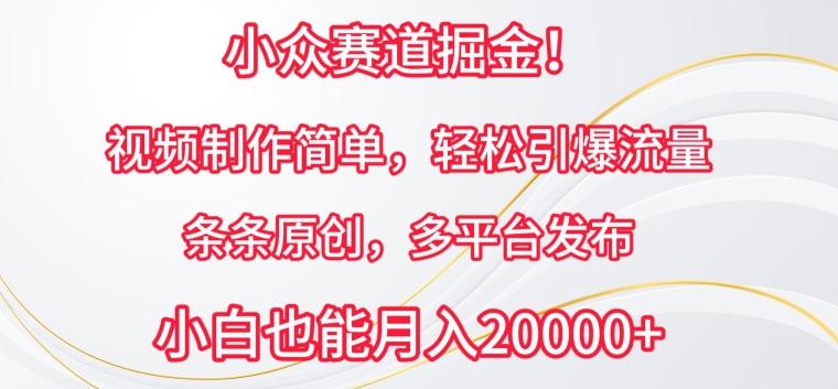 小众赛道掘金，视频制作简单，轻松引爆流量，条条原创，多平台发布【揭秘】-创薯资源