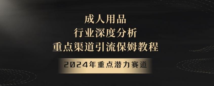 2024年重点潜力赛道，成人用品行业深度分析，重点渠道引流保姆教程【揭秘】-创薯资源