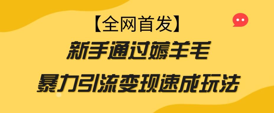 【全网首发】新手通过薅羊毛暴力引流变现速成玩法-创薯资源