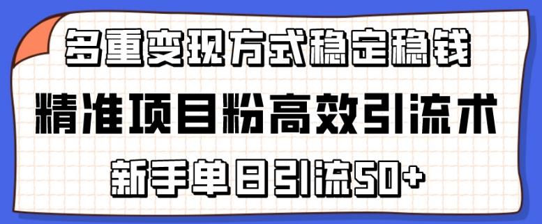 精准项目粉高效引流术，新手单日引流50+，多重变现方式稳定赚钱【揭秘】-创薯资源