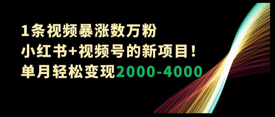 1条视频暴涨数万粉–小红书+视频号的新项目！单月轻松变现2000-4000【揭秘】-创薯资源