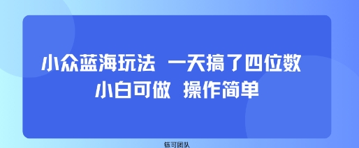 小众蓝海玩法 一天搞了四位数 小白可做 操作简单-创薯资源