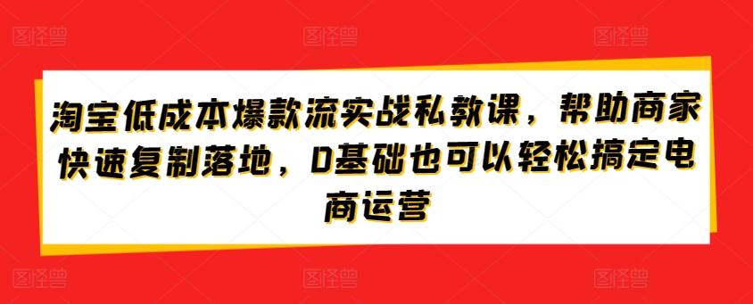 淘宝低成本爆款流实战私教课，帮助商家快速复制落地，0基础也可以轻松搞定电商运营-创薯资源