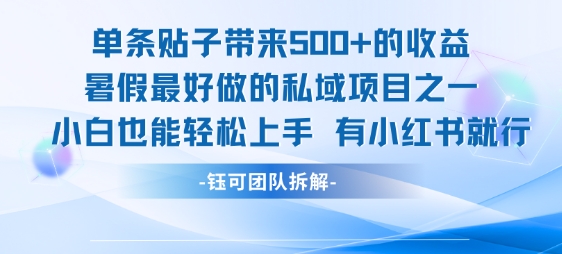 单条贴子带来5张的收益，暑假最好做的私域项目之一，小白也能轻松上手，有小红书就行-创薯资源