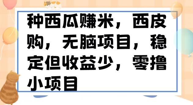 种西瓜赚米，西皮购稳定长久零撸小项目-创薯资源