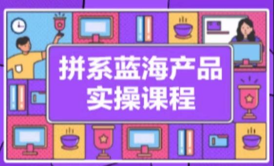 拼系冷门蓝海产品实操课程，从注册店铺到选品上架到流量维护环环相扣-创薯资源