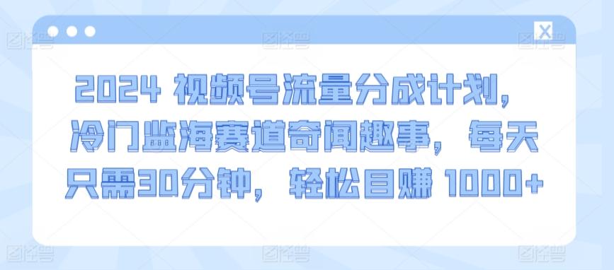 2024视频号流量分成计划，冷门监海赛道奇闻趣事，每天只需30分钟，轻松目赚 1000+【揭秘】-创薯资源