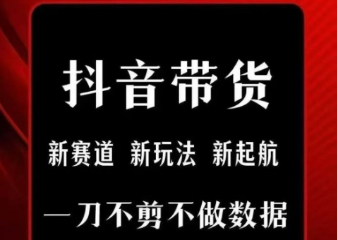 抖音短视频一刀不剪带货，不剪辑，不直播，每天发个视频，等着出单获取带货佣金-创薯资源