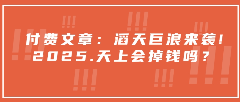 付费文章：滔天巨浪来袭！2025天上会掉钱吗？-创薯资源