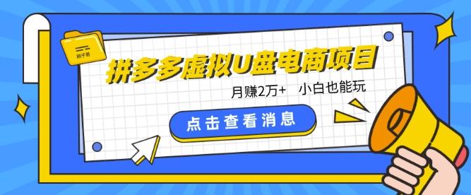 拼多多虚拟U盘电商红利项目：月赚2万+，新手小白也能玩-创薯资源